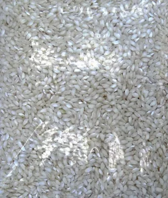 Alborio Rice 2kg