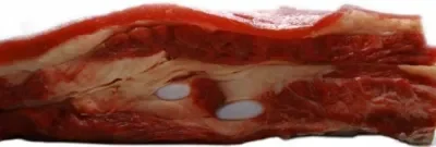 Beef briscket 500g