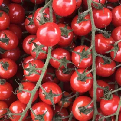 Cherry Tomatoes 125g