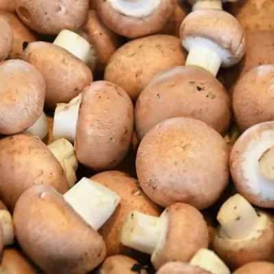 Chestnut mushroom 300g