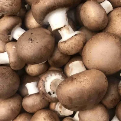 chestnut mushrooms 500g