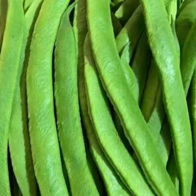 English Runner Bean 200g