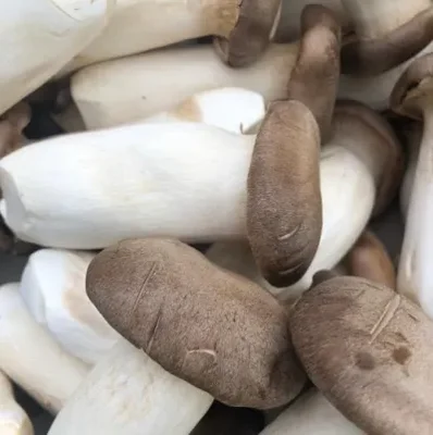 King Oyster mushroom 100g