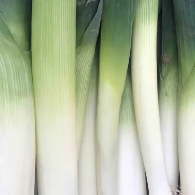 Leeks 500g