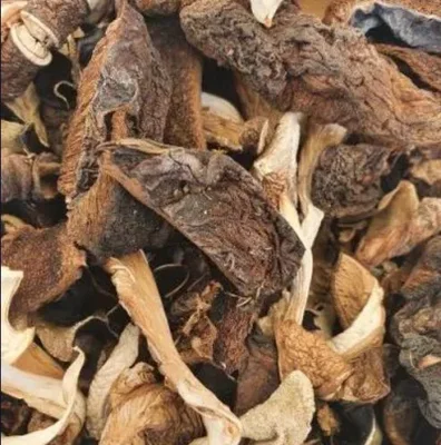 Mixed dried Mushroom 100g