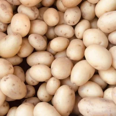 New Potato 500g