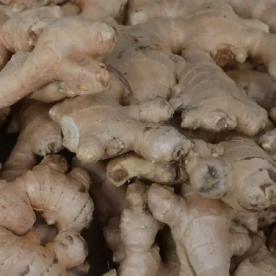 Organic Ginger 100g