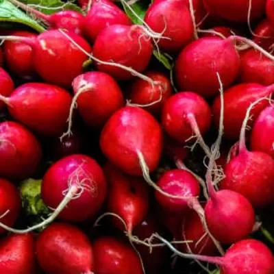Radish 1 bunch
