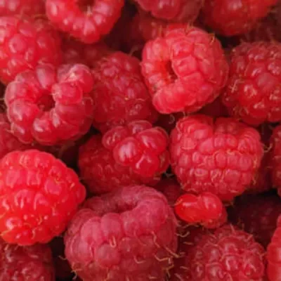 Raspberry tub