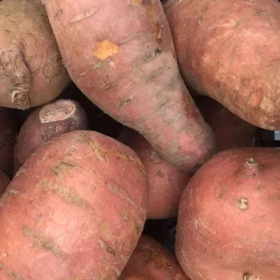 Sweet Potato Purple 500g