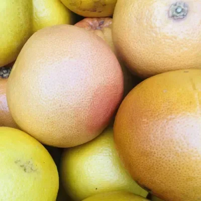 White Grape Fruit x 1